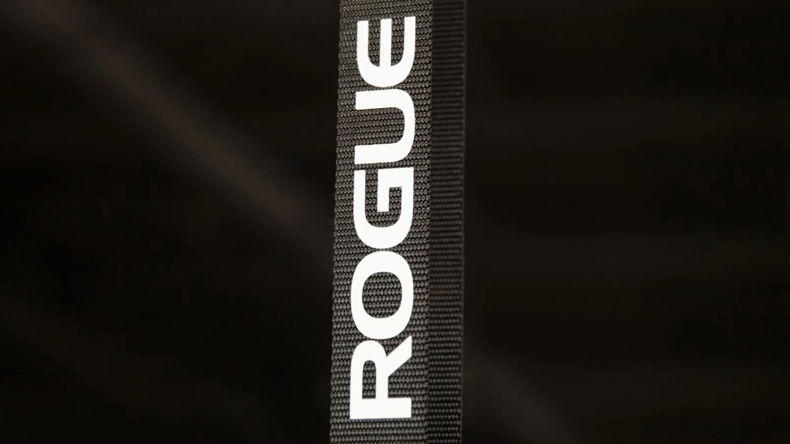 Rogue Fitness Rogue Individual Pull-up System - Image 3